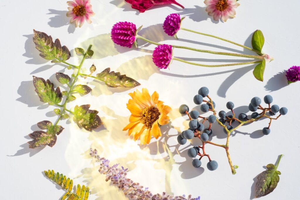 Sélection de cosmétiques bio sur fond végétal