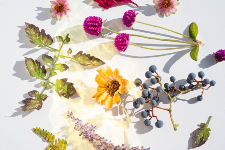 Produits cosmetiques bio naturels : huile, argile, plantes, savon artisanal