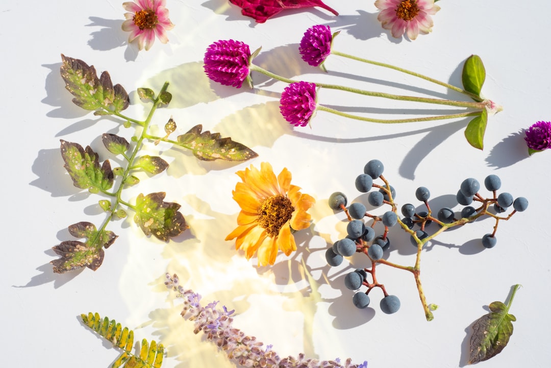 Produits cosmetiques bio naturels : huile, argile, plantes, savon artisanal